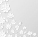 paper flower background, white, flowers-4794429.jpg